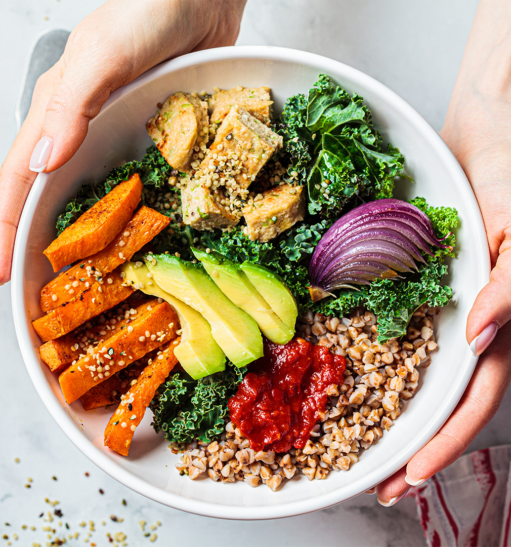 Protocolos de Alimentación Medicina